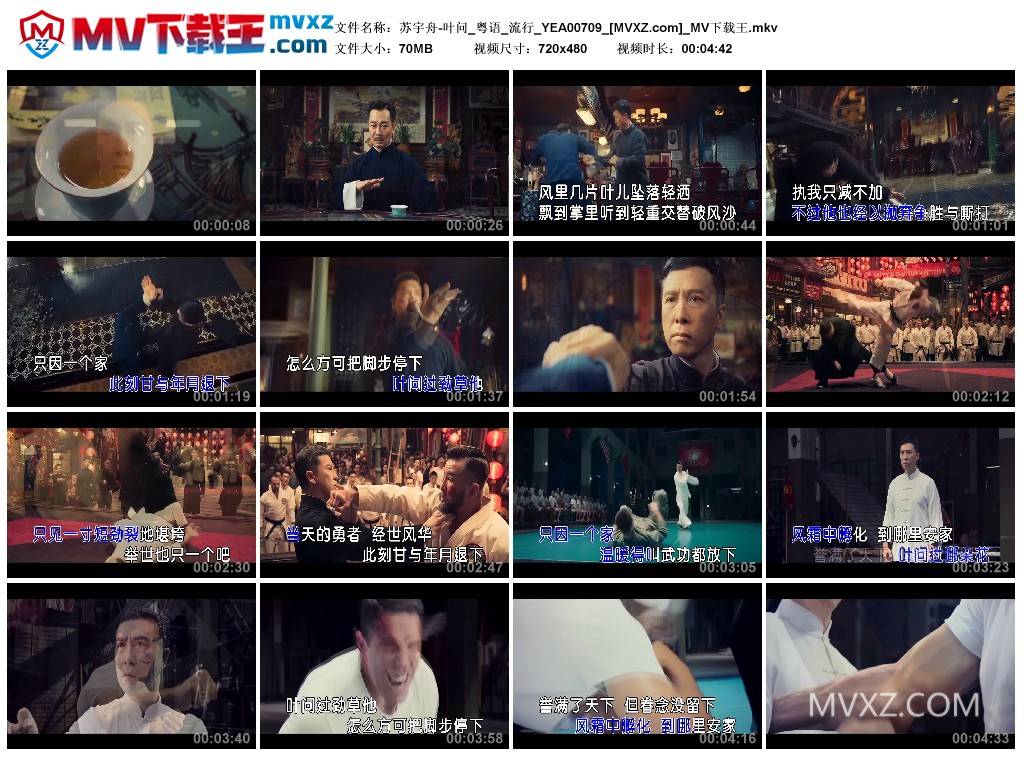 苏宇舟-叶问_粤语_流行_YEA00709